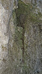 20190817_143037