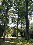 IMG_20190828_100441