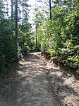 IMG_20190827_152145