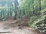 IMG_20190829_102543