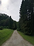 IMG_20190829_104531