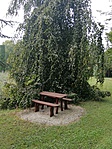 IMG_20190829_104335