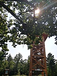 IMG_20190827_123248