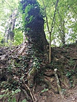IMG_20190829_122505