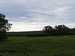 IMG_20190808_182021