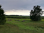 IMG_20190808_182019