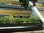 DSCF5642