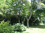 DSCF5644