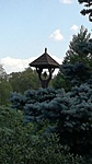IMG_20190804_132838