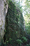DSC03642