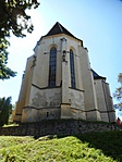 Kép 892X