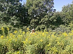 IMG_20190820_101744