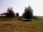 IMG_20190812_110227