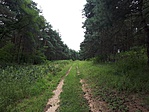 20190808_112529