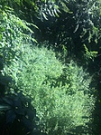 89F8792E-5D16-49F9-B0BF-EE1D77373B5F