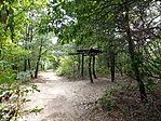 P1170953