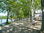 Platánsor