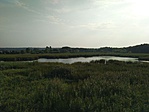 Merzse-mocsár