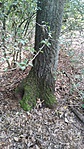 P90920-163058