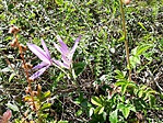 20190922_142622