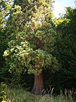 IMG_20190914_101550