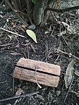 IMG_20190816_105747