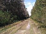 IMG_20190914_133926