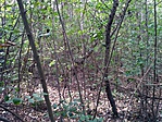 IMG_20190914_134626