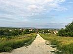 IMG_9074