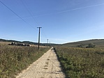 IMG_9182