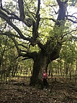 IMG_9184