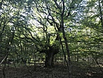 IMG_9189