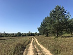 IMG_9190