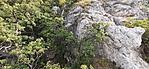 20190902_085627
