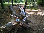 IMG_20190914_153707