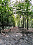 IMG_20190928_115530