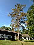 IMG_20190928_121314