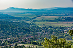 _DSC9299