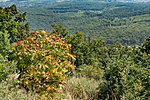 _DSC9303