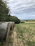 IMG_1692