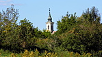 P1000590