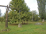 DSC09320