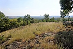 gcdoiz-DSC05764