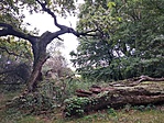 IMG_20190926_175211