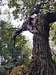 IMG_20190926_175238
