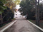 belátás