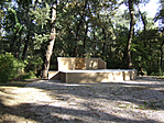 DSCF5423