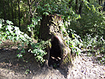 DSCF5428