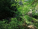 IMG_20190817_163516