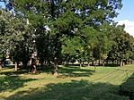 IMG_20190901_154829
